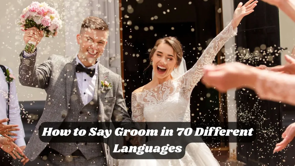 Groom in Different Languages