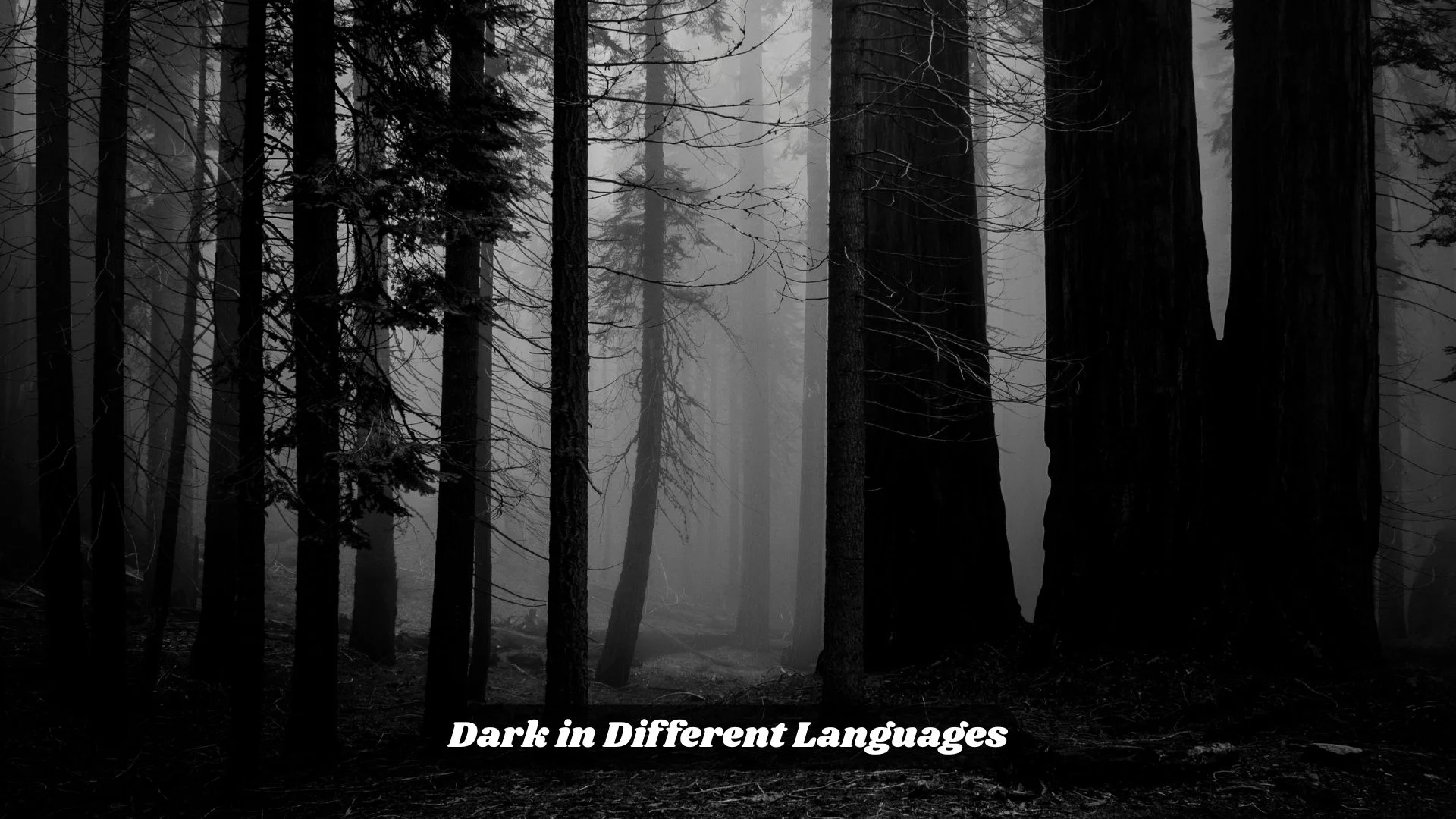 Dark in Different Languages
