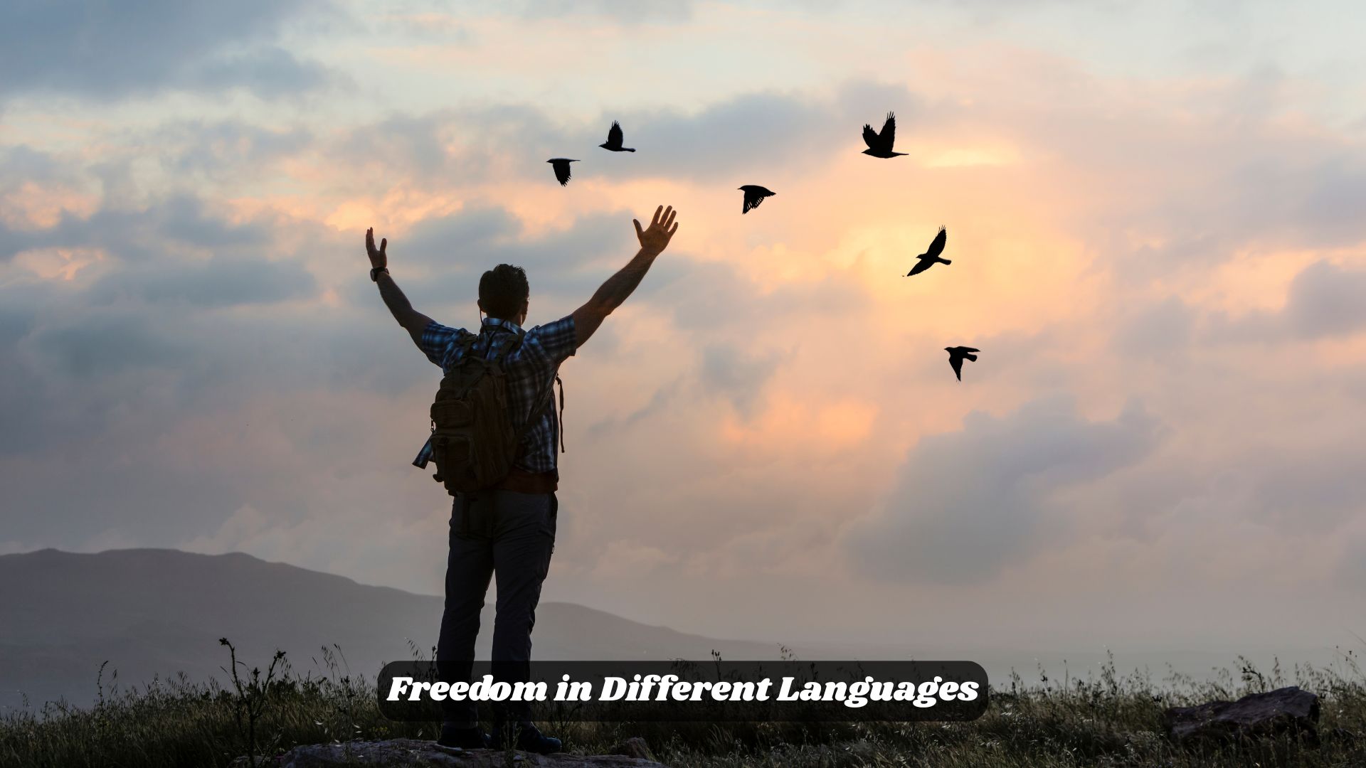 Freedom in Different Languages