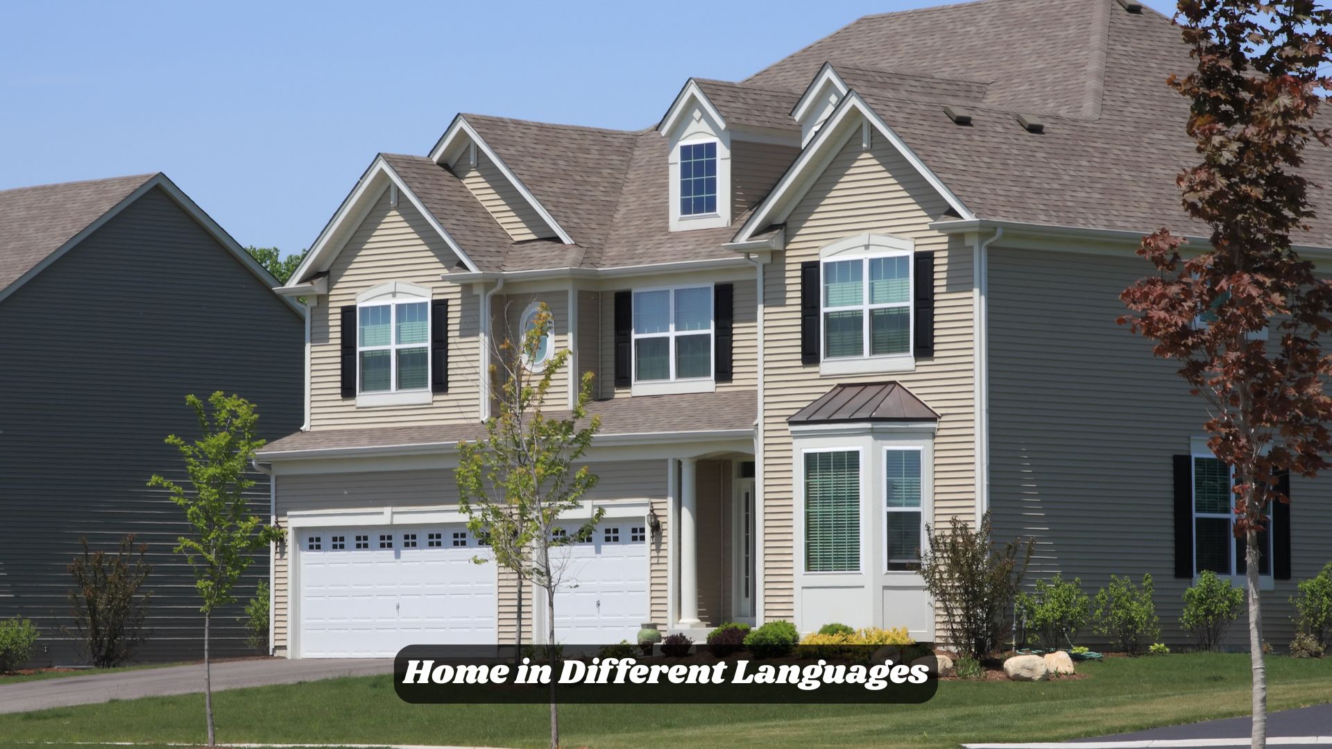 🏡 Home in Different Languages | One Word, Many Cultures