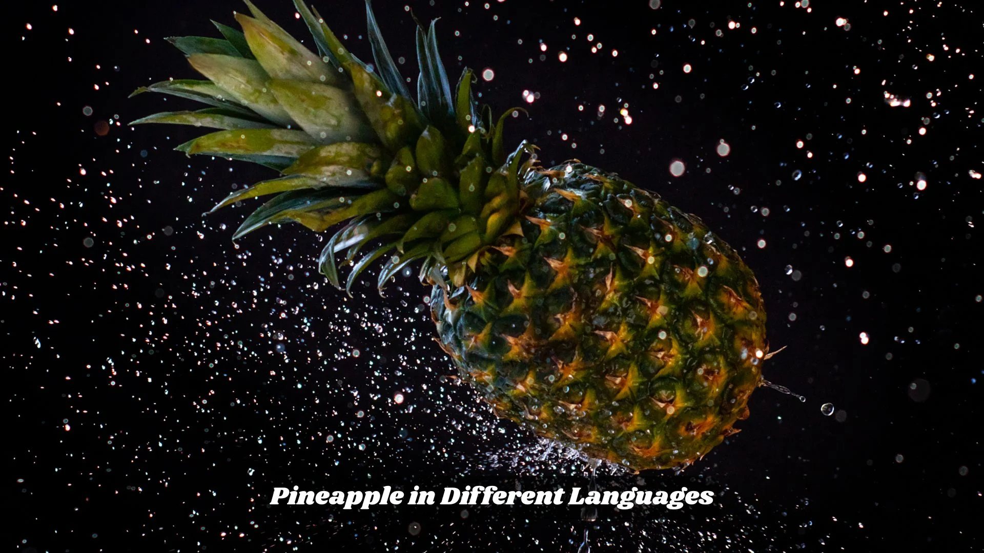 Pineapple in Different Languages