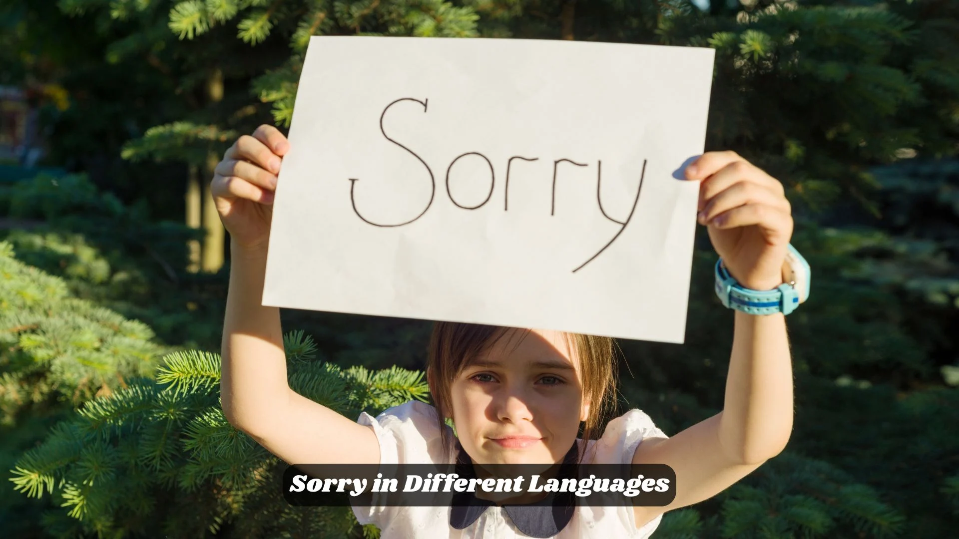 Sorry in Different Languages