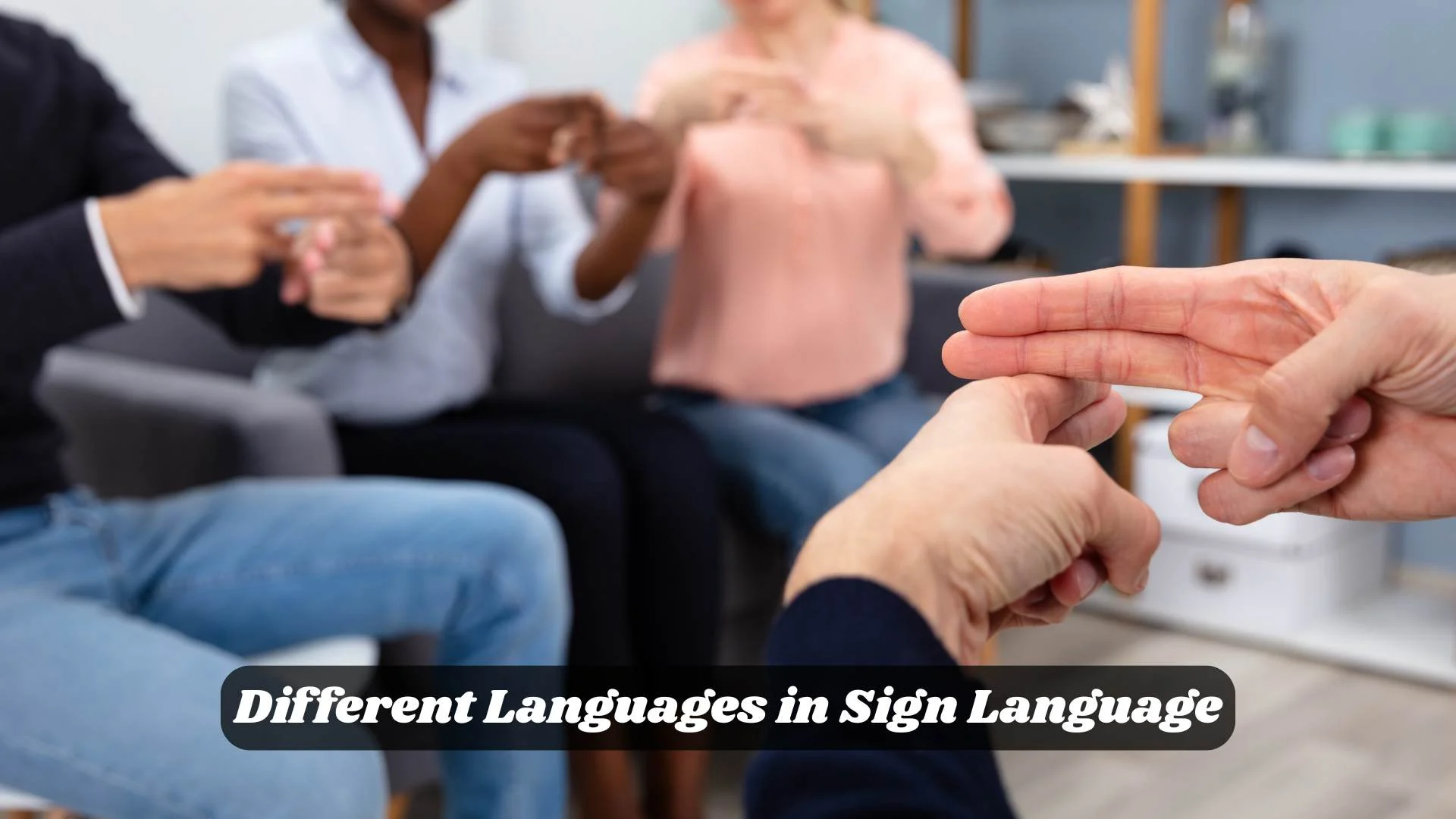 ✋ Different Languages in Sign Language