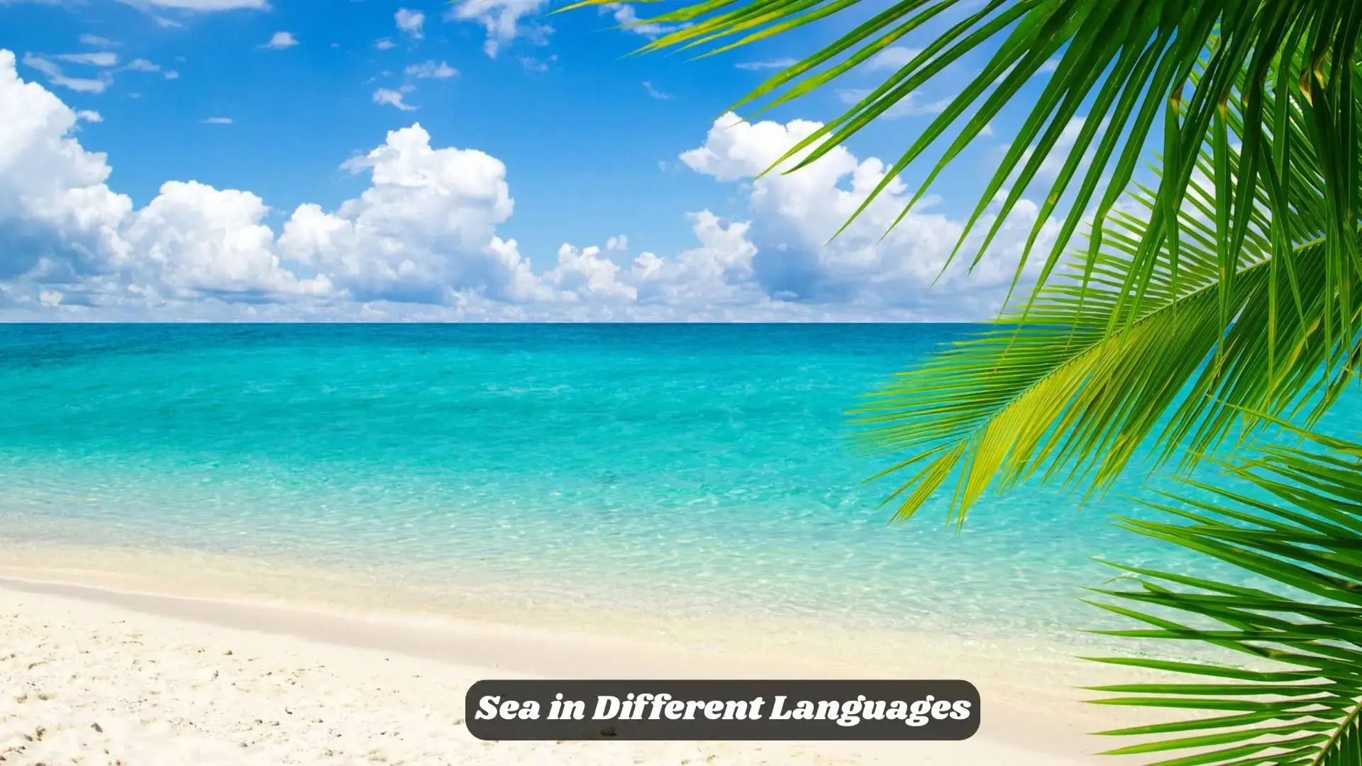 Sea in Different Languages