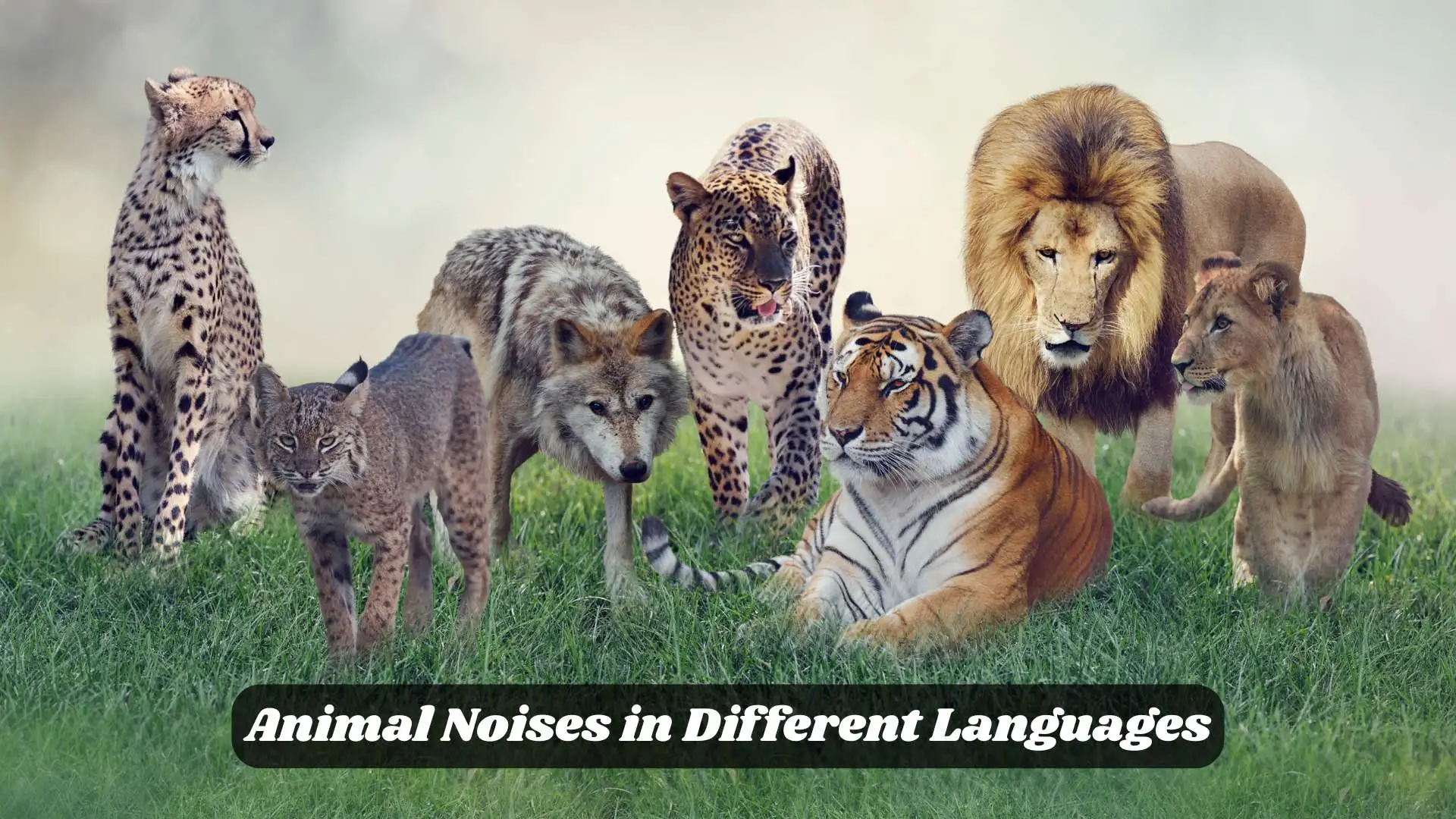 🐾 Animal Noises in Different Languages | Discover Funny and Cute Noises Globally