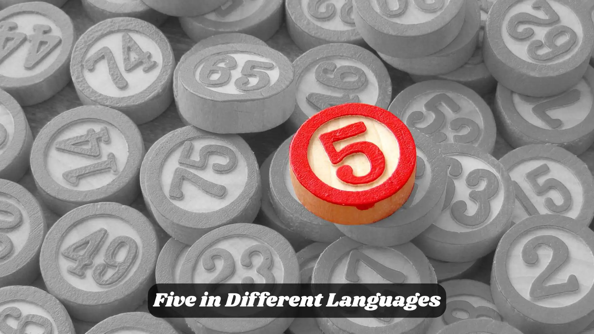 ✋ Five in Different Languages | A Simple Word That Connects Us All