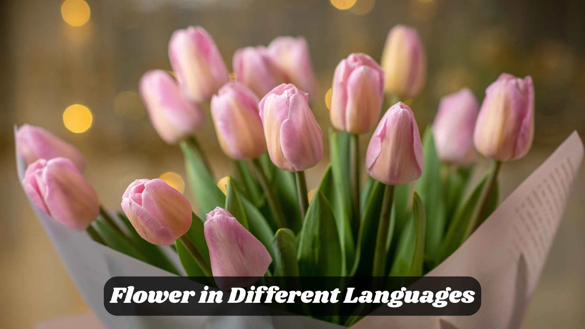 Flower in Different Languages | Meaning, Translations and How to Use It
