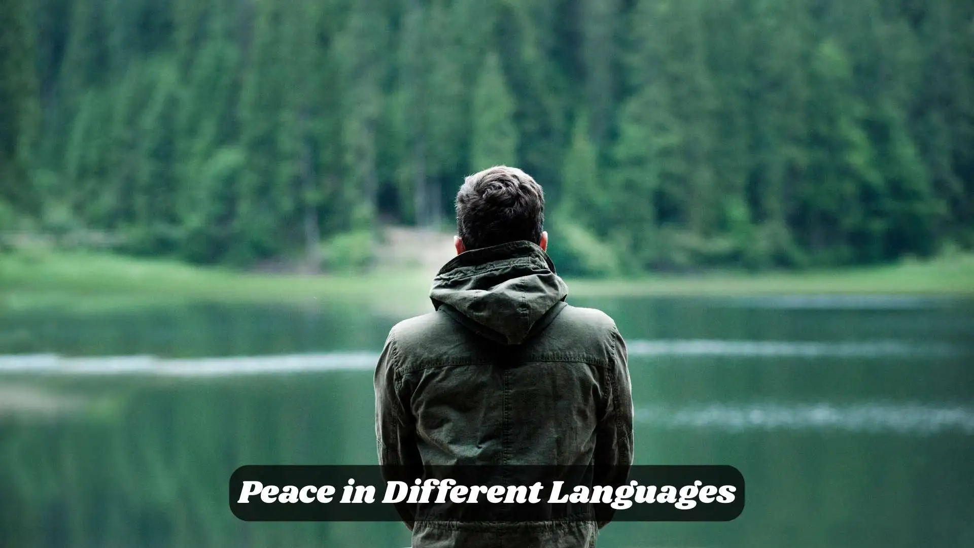 🕊️ Peace in Different Languages | A Beautiful Word Spoken Globally