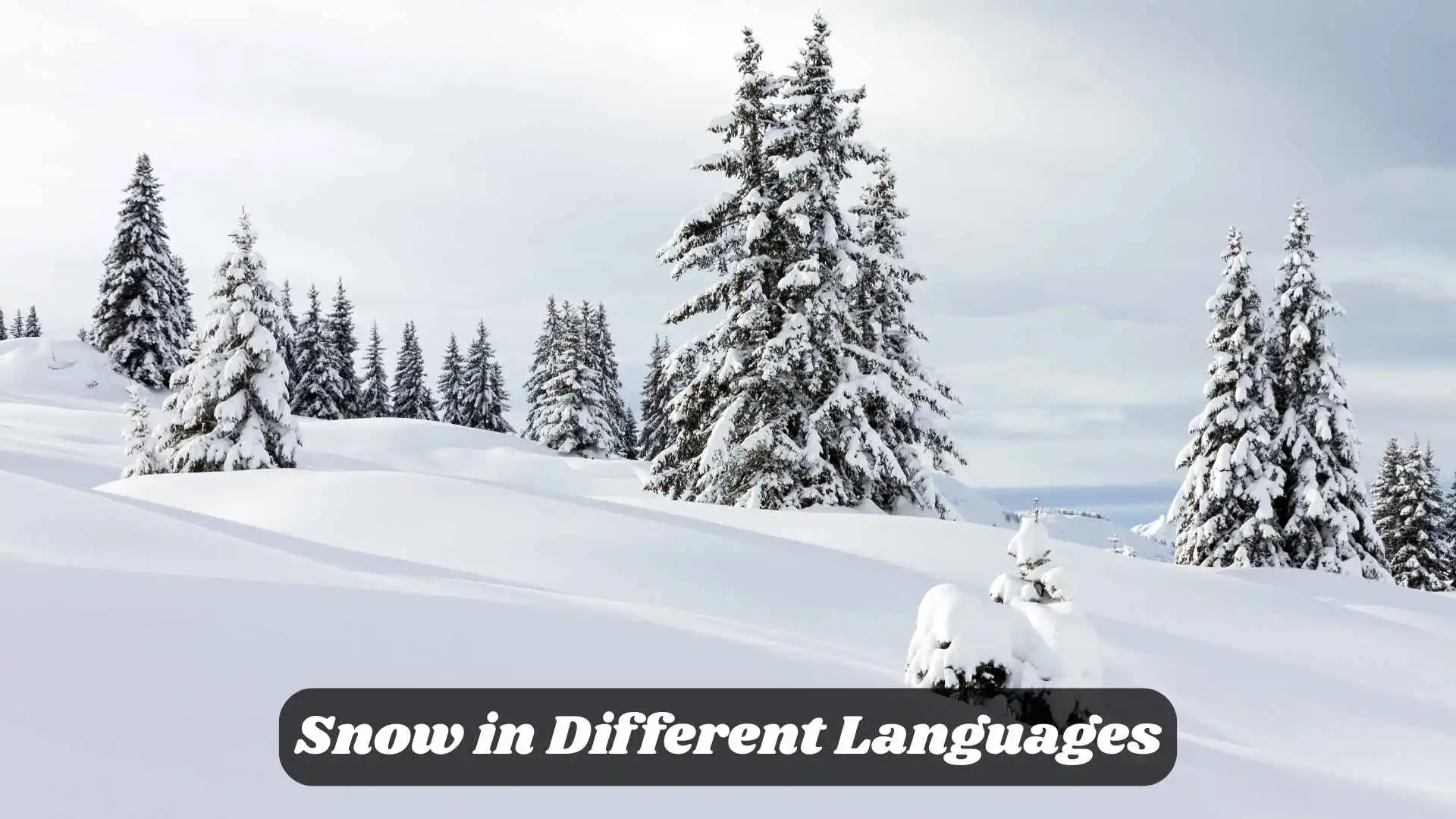 Snow in Different Languages | Meaning, Translations and How to Use It