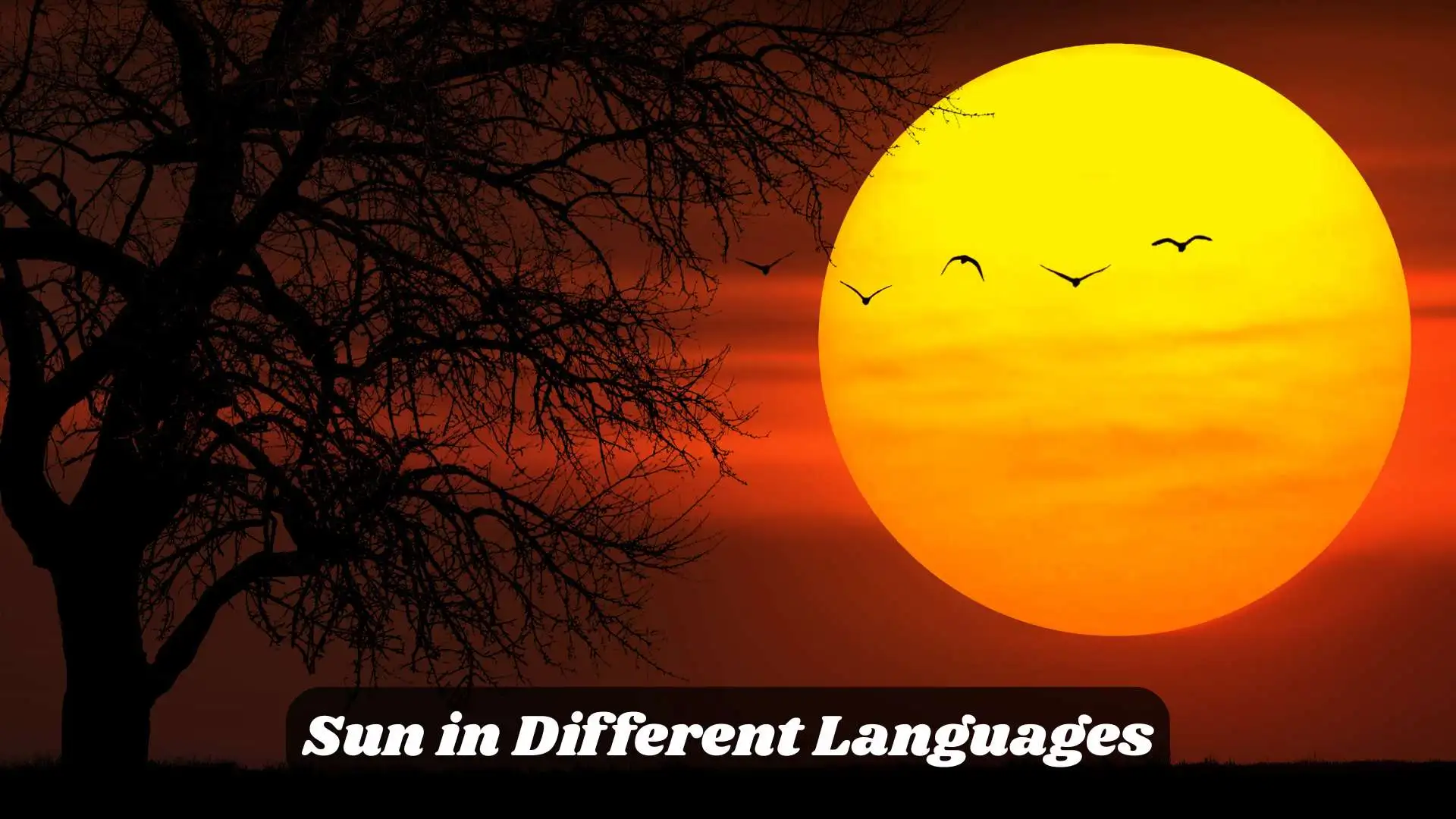 Sun in Different Languages