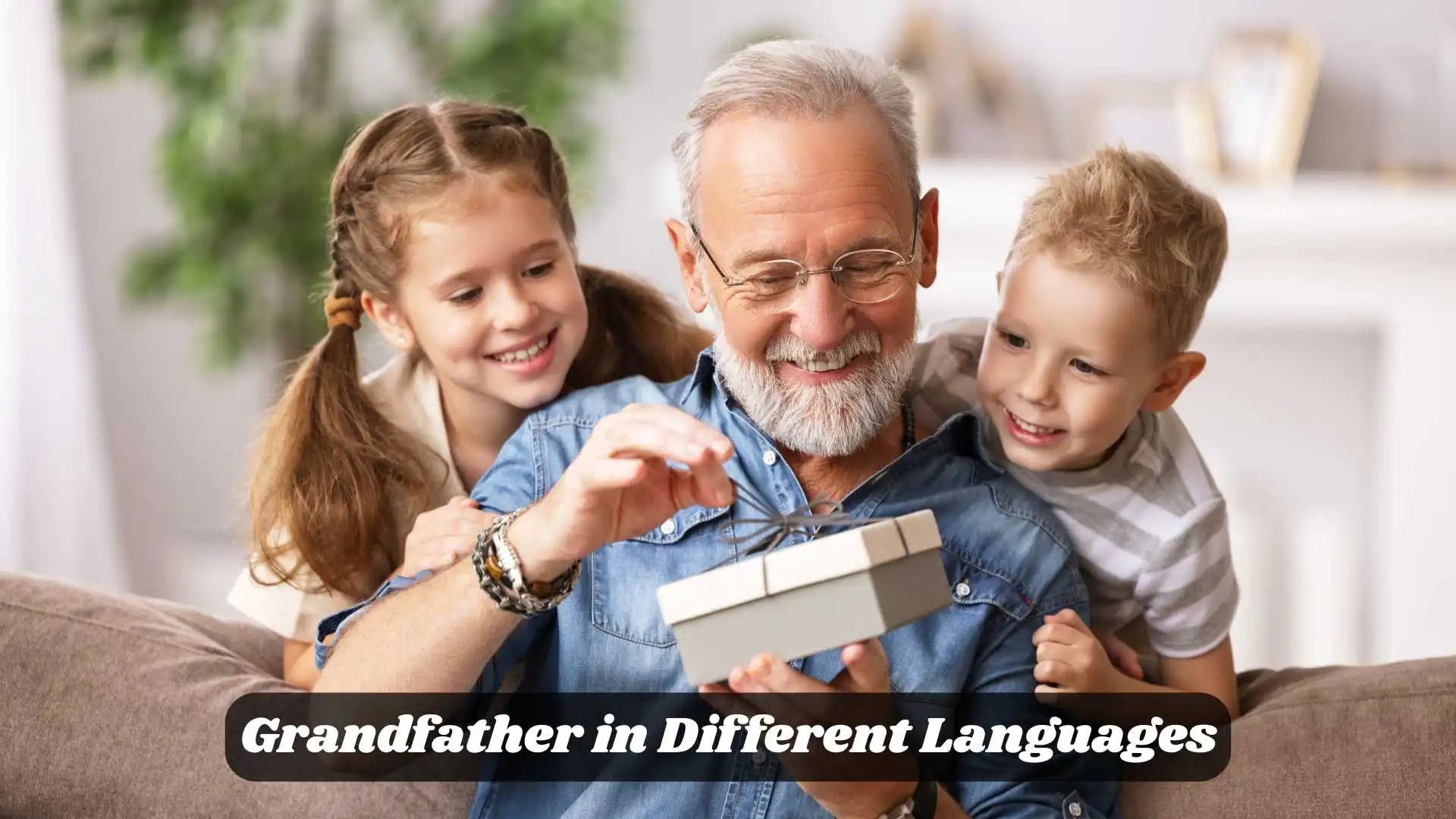 👴 Grandfather in Different Languages | Words of Love Across Cultures