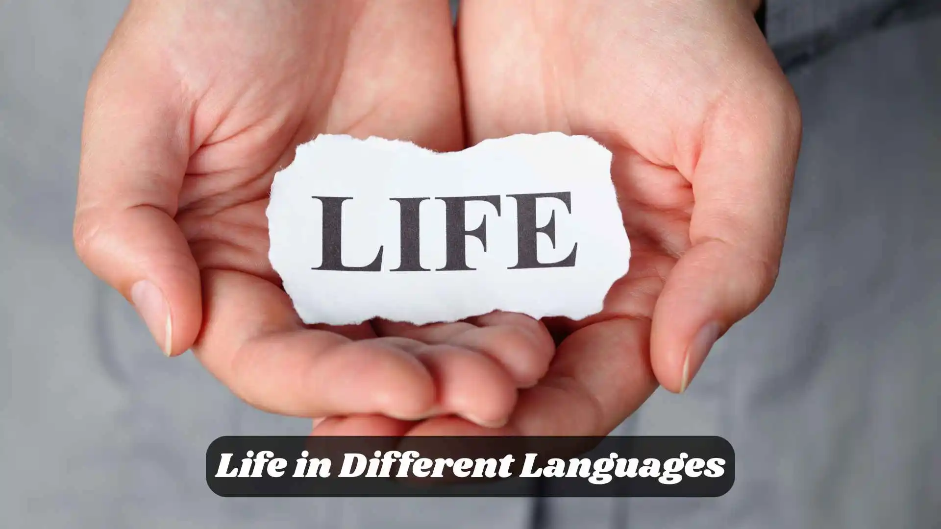 🌏 Life in Different Languages | Understanding the Word That Connects Us All