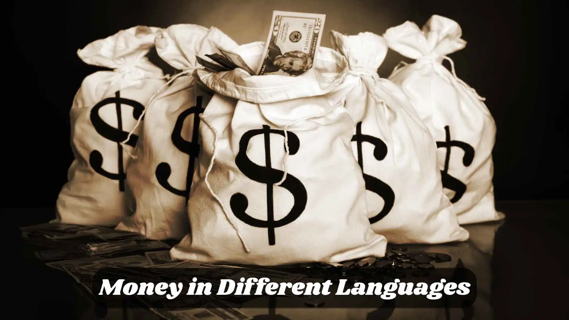Money in Different Languages | Global Guide to Currency & Wealth
