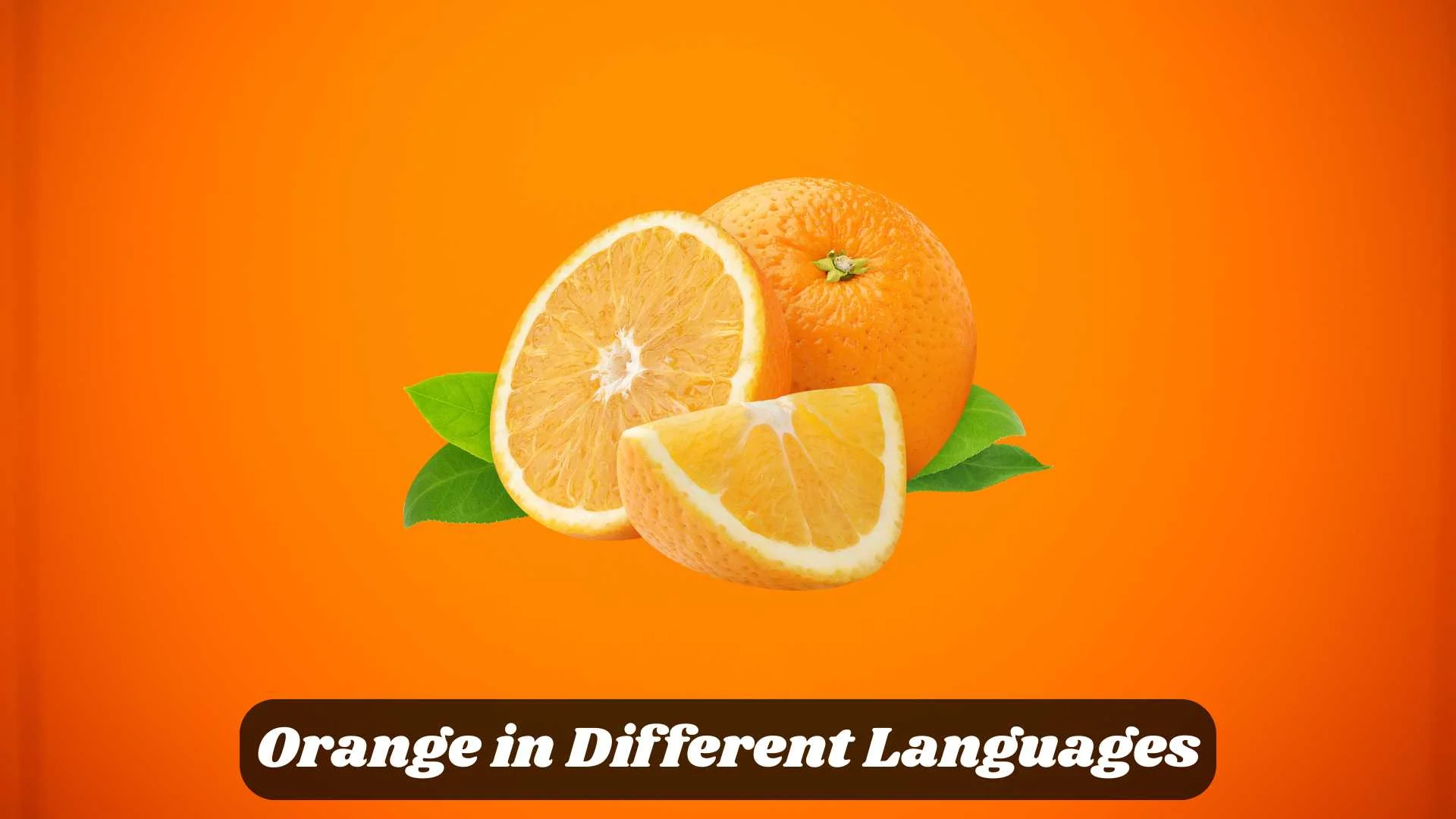 🍊 Orange in Different Languages | A Color, a Fruit and a Symbol of Joy