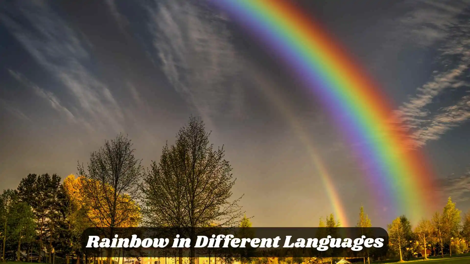 🌈 Rainbow in Different Languages | A Symbol of Hope and Beauty