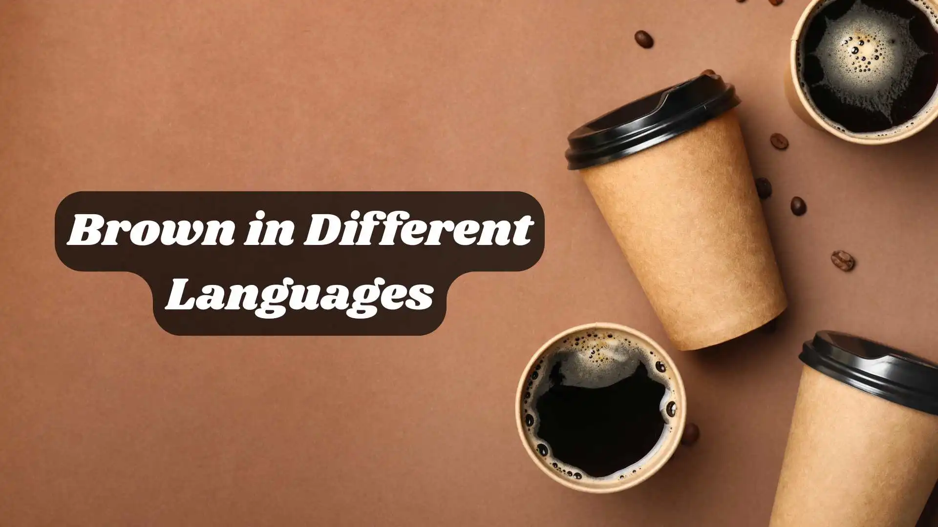 Brown in Different Languages