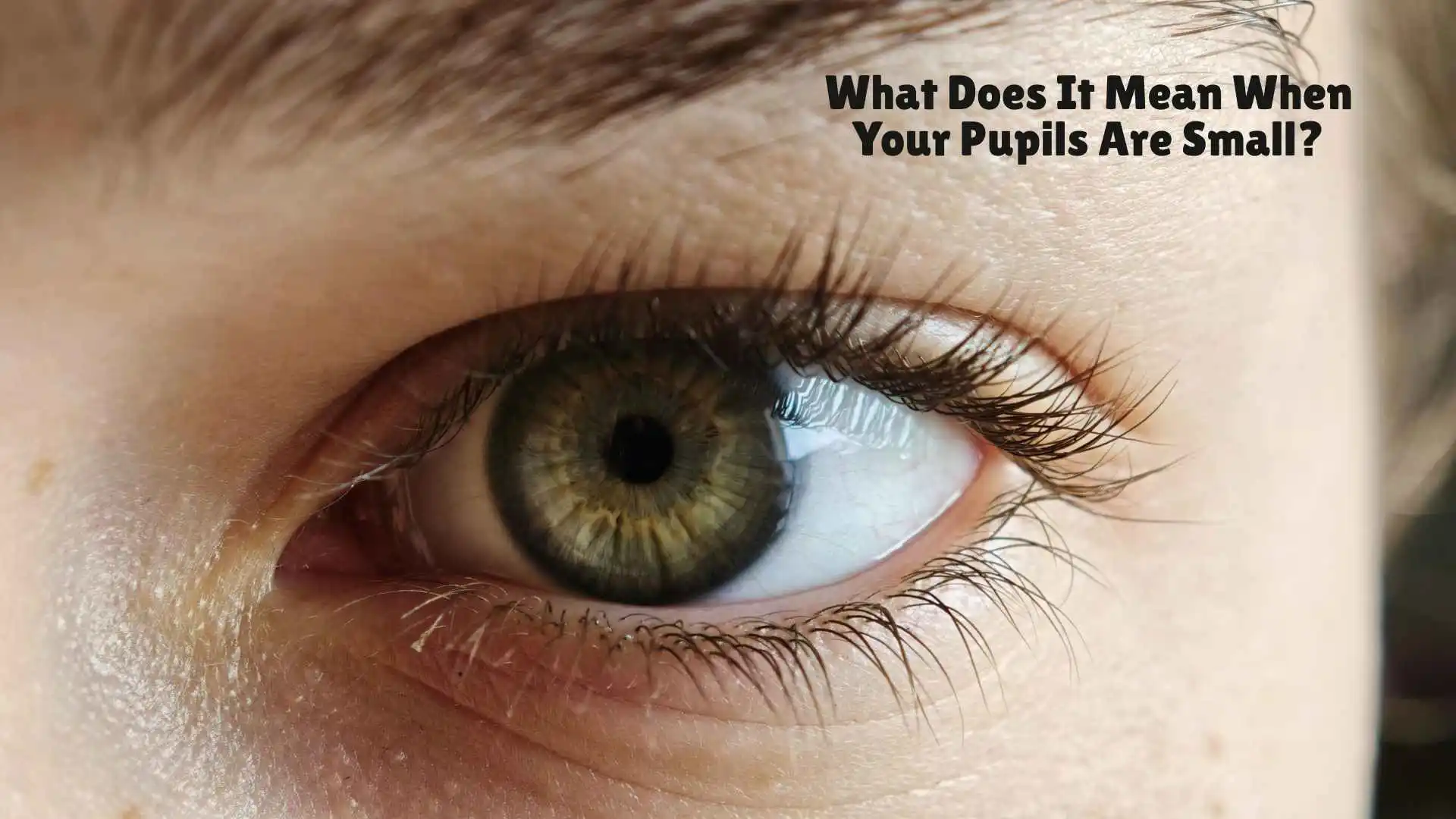 What Does It Mean When Your Pupils Are Small | Symptoms You Should Notice in 2026