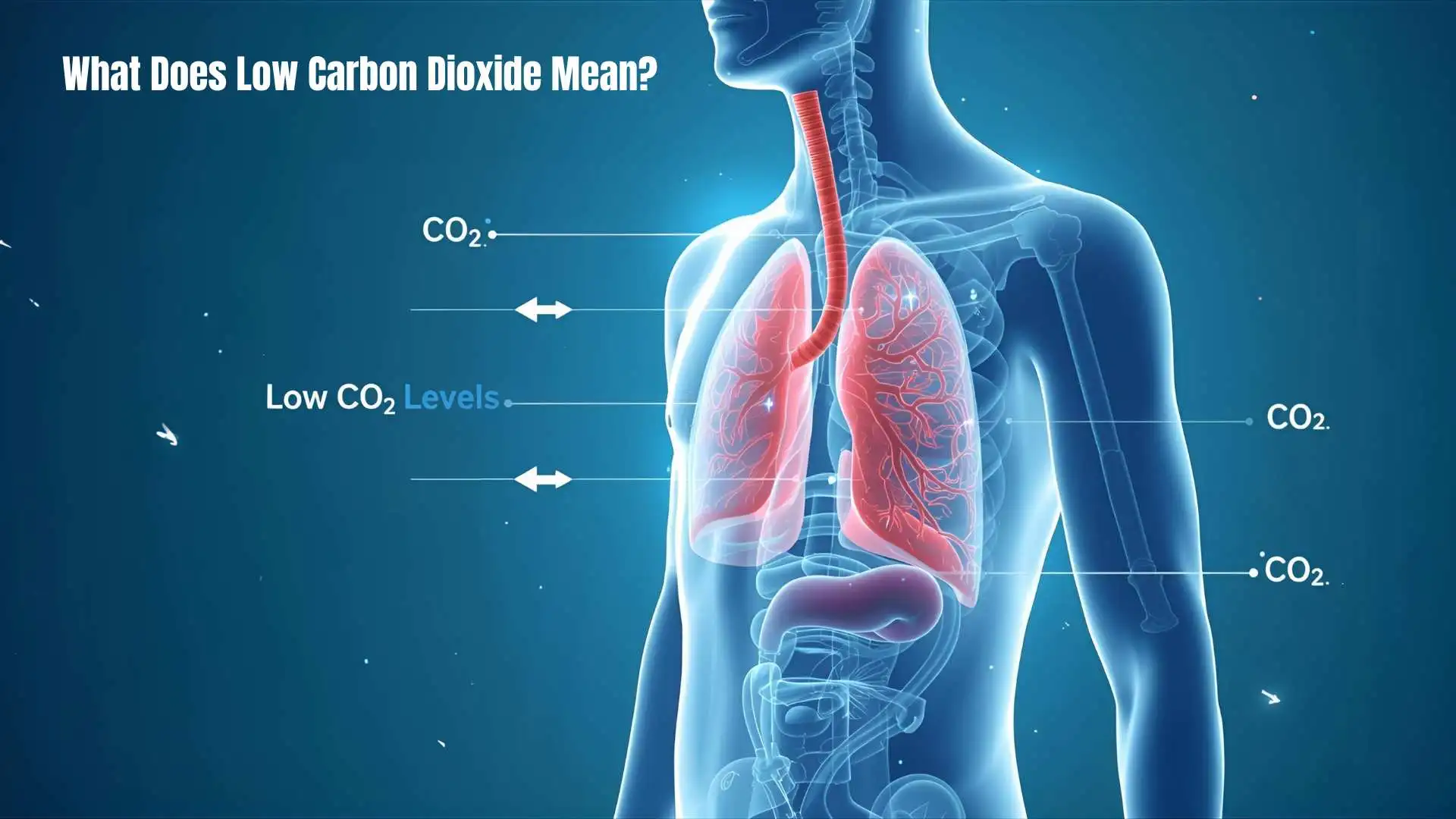 What Does Low Carbon Dioxide Mean | Hidden Health Conditions You Should Know in 2026