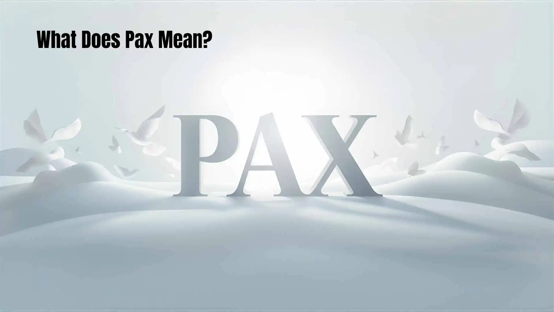What Does Pax Mean | A Complete Breakdown for Everyone in 2026