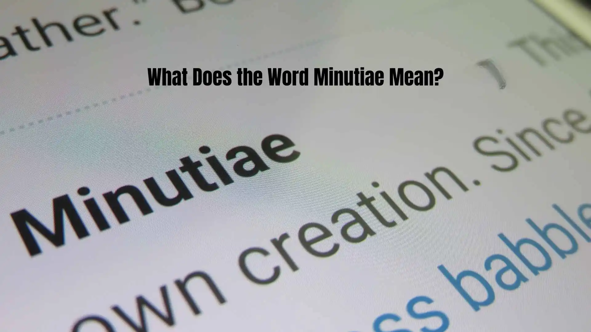 What Does the Word Minutiae Mean | How to Use It Correctly in 2026