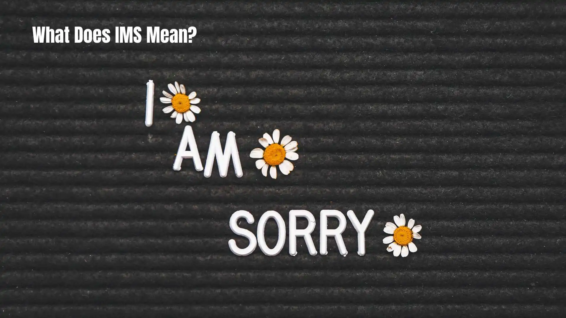 What Does IMS Mean | Complete Guide and Explanation for 2026