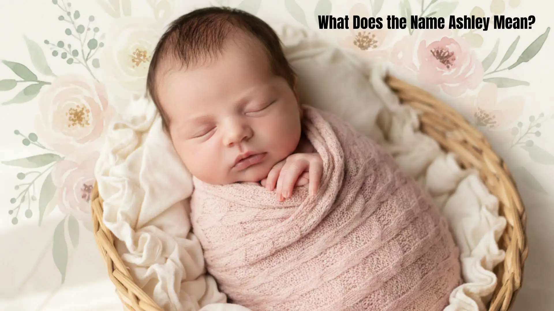 What Does the Name Ashley Mean | in Biblical and Spiritual Contexts for 2026